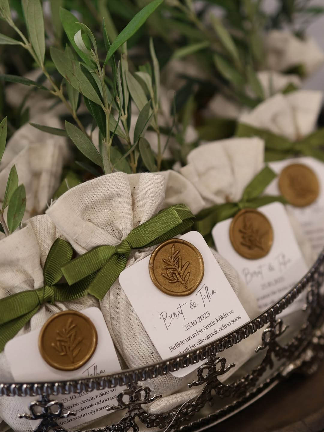 Keseli Zeytin Fidesi Hediyelik 