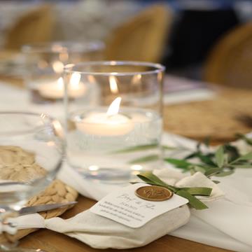 Organic Kiwi Pineapple Smoothie Pops